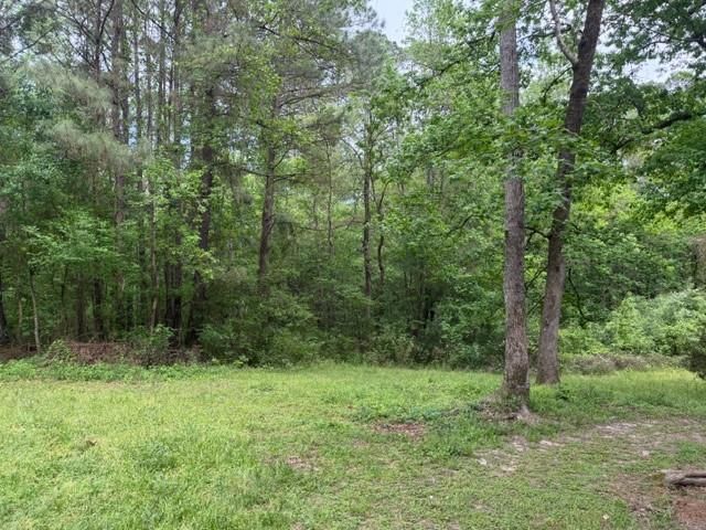 Lot 34 Gov Latham Circle, Point Blank, TX 77364