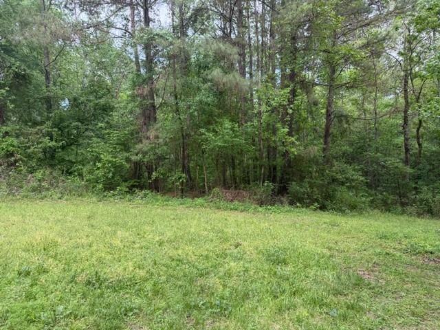 Lot 34 Gov Latham Circle, Point Blank, TX 77364