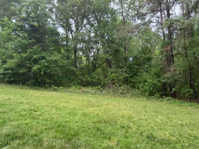 Lot 34 Gov Latham Circle, Point Blank, TX 77364