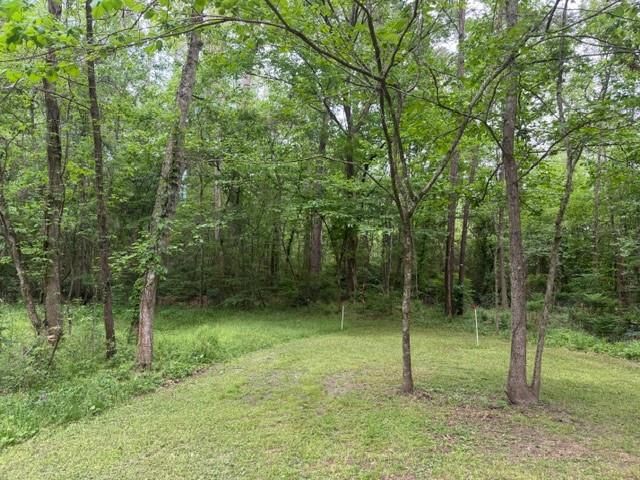 Lot 34 Gov Latham Circle, Point Blank, TX 77364
