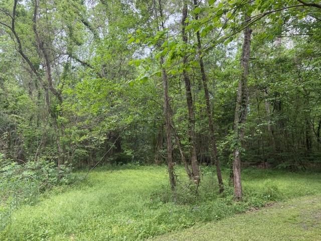 Lot 34 Gov Latham Circle, Point Blank, TX 77364