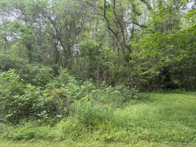 Lot 34 Gov Latham Circle, Point Blank, TX 77364