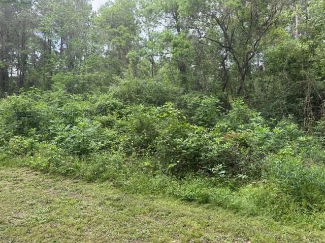 Lot 34 Gov Latham Circle, Point Blank, TX 77364