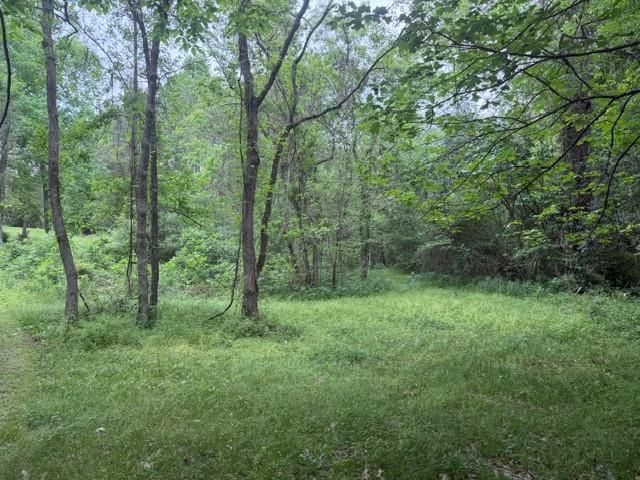 Lot 34 Gov Latham Circle, Point Blank, TX 77364