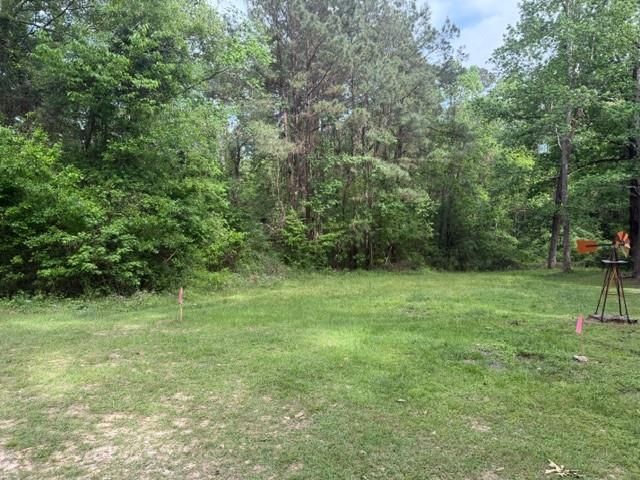 Lot 34 Gov Latham Circle, Point Blank, TX 77364