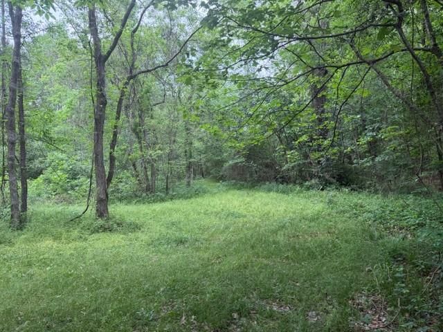 Lot 34 Gov Latham Circle, Point Blank, TX 77364