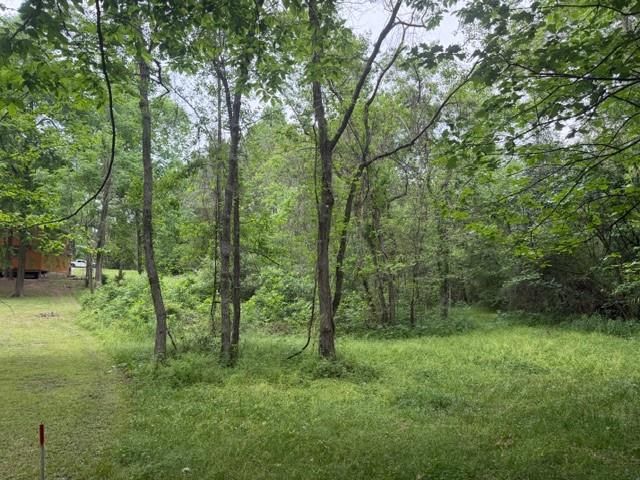 Lot 34 Gov Latham Circle, Point Blank, TX 77364