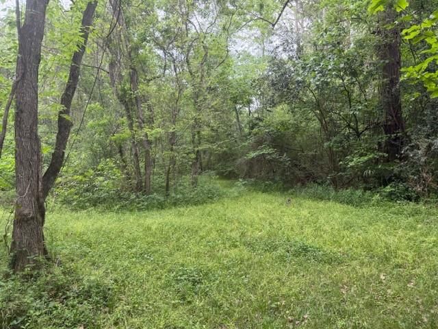 Lot 34 Gov Latham Circle, Point Blank, TX 77364