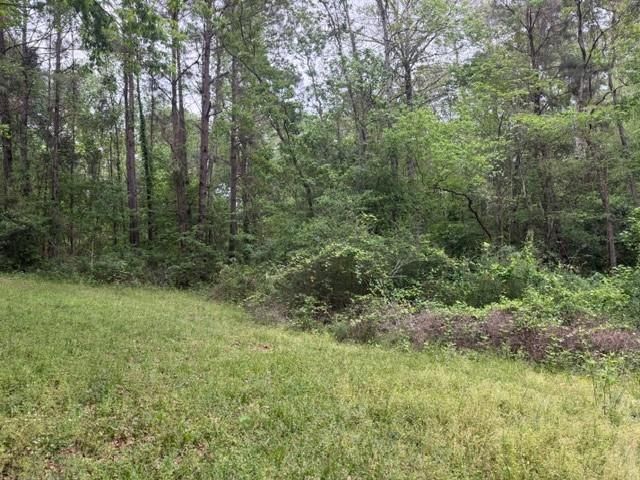 Lot 34 Gov Latham Circle, Point Blank, TX 77364