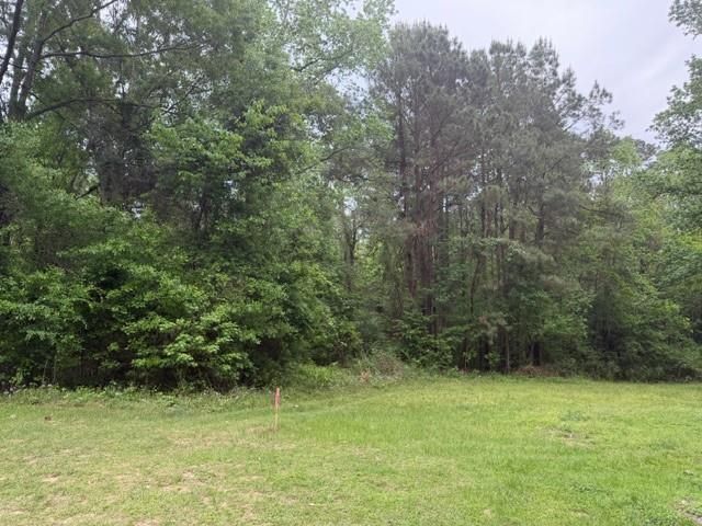 Lot 34 Gov Latham Circle, Point Blank, TX 77364
