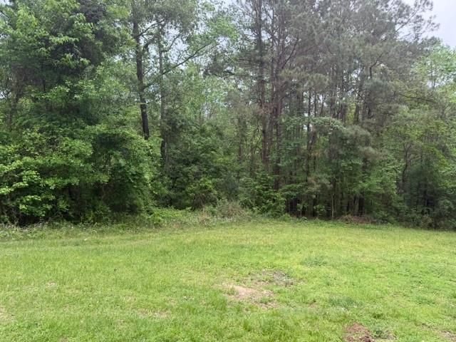 Lot 34 Gov Latham Circle, Point Blank, TX 77364