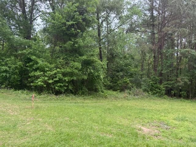 Lot 34 Gov Latham Circle, Point Blank, TX 77364