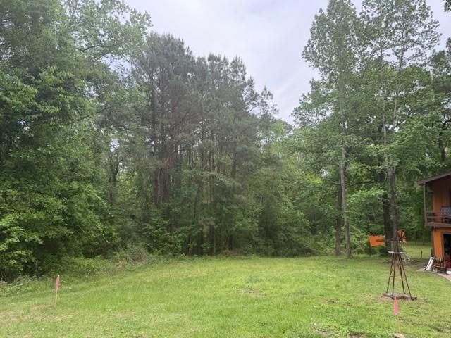 Lot 34 Gov Latham Circle, Point Blank, TX 77364