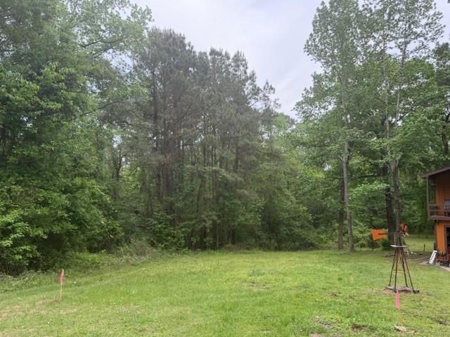 Lot 34 Gov Latham Circle, Point Blank, TX 77364
