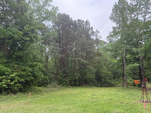 Lot 34 Gov Latham Circle, Point Blank, TX 77364