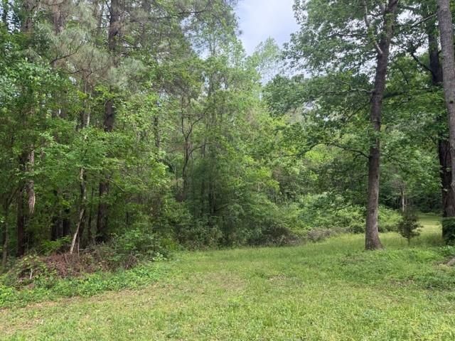 Lot 34 Gov Latham Circle, Point Blank, TX 77364