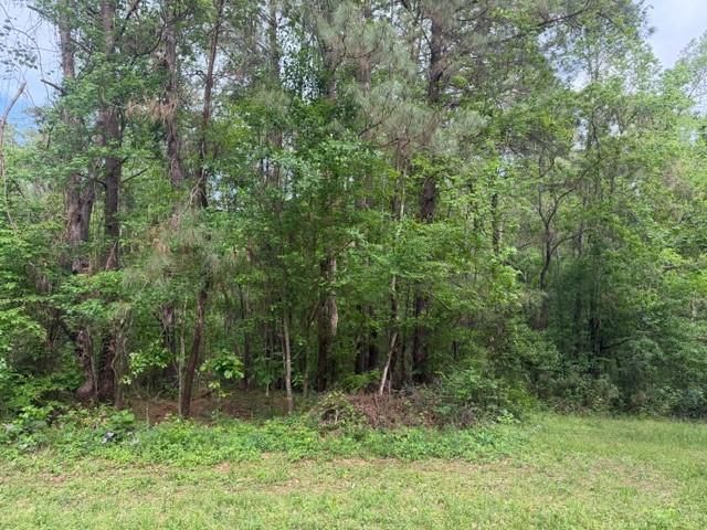 Lot 34 Gov Latham Circle, Point Blank, TX 77364