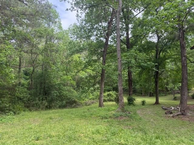 Lot 34 Gov Latham Circle, Point Blank, TX 77364