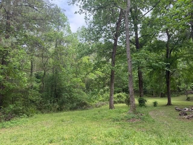 Lot 34 Gov Latham Circle, Point Blank, TX 77364