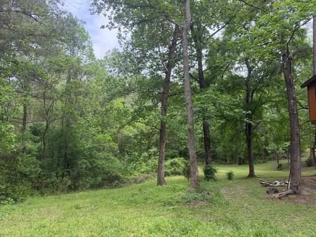 Lot 34 Gov Latham Circle, Point Blank, TX 77364