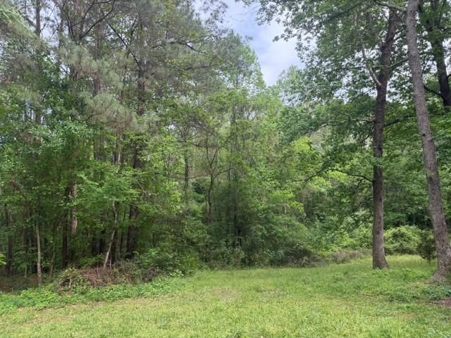 Lot 34 Gov Latham Circle, Point Blank, TX 77364