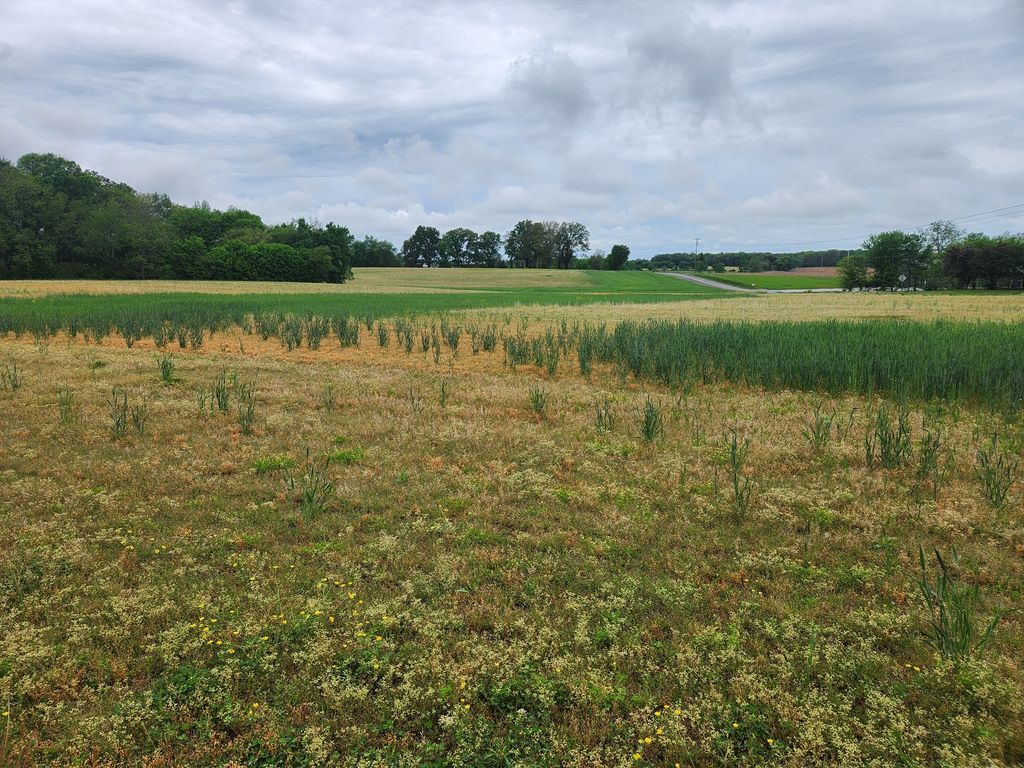 3249 Fredonia Rd, Manchester, TN 37355