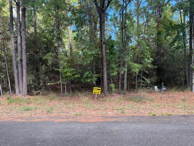 0 Pine Valley, Huntsville, TX 77320