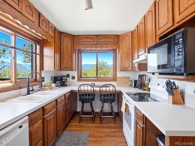 475 Holmes Gulch Rd, Bailey, CO 80421