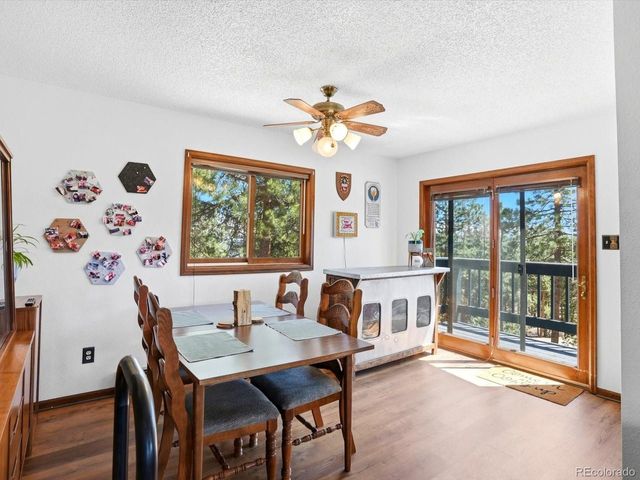 475 Holmes Gulch Rd, Bailey, CO 80421