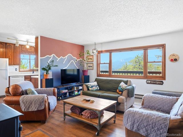 475 Holmes Gulch Rd, Bailey, CO 80421