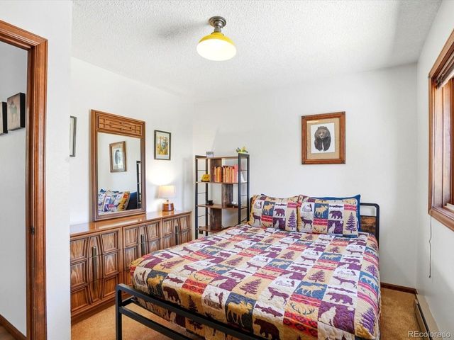 475 Holmes Gulch Rd, Bailey, CO 80421