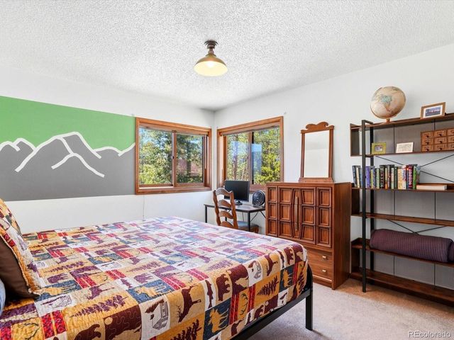 475 Holmes Gulch Rd, Bailey, CO 80421