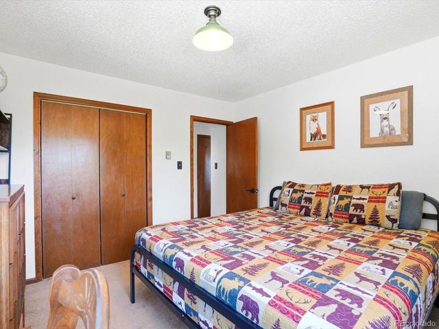 475 Holmes Gulch Rd, Bailey, CO 80421