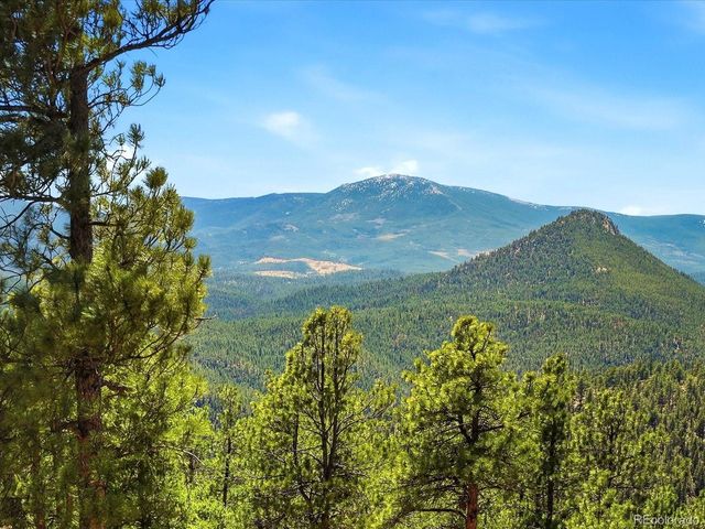 475 Holmes Gulch Rd, Bailey, CO 80421