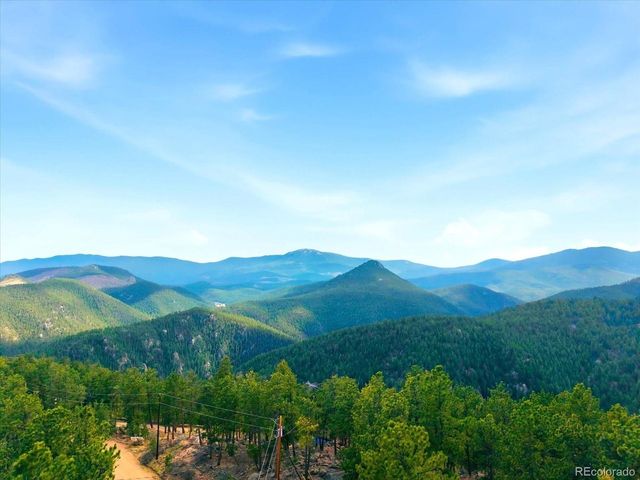 475 Holmes Gulch Rd, Bailey, CO 80421