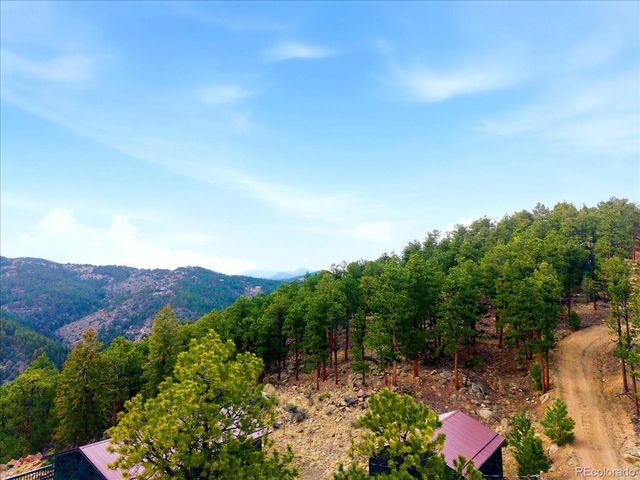 475 Holmes Gulch Rd, Bailey, CO 80421