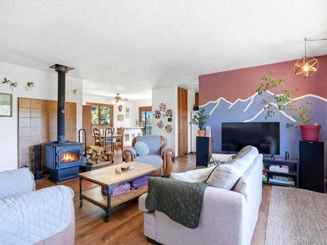 475 Holmes Gulch Rd, Bailey, CO 80421