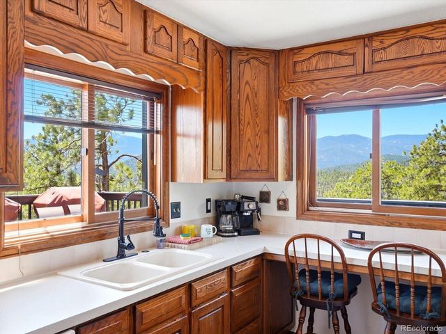 475 Holmes Gulch Rd, Bailey, CO 80421