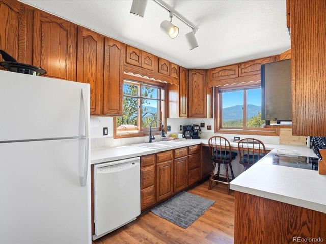475 Holmes Gulch Rd, Bailey, CO 80421