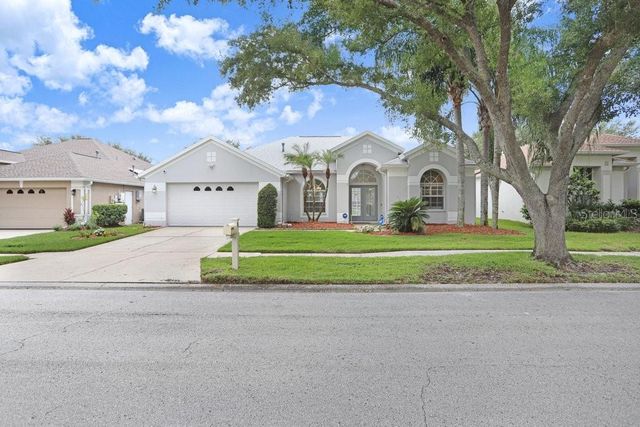 10227 QUAILS LANDING AVENUE, Tampa, FL 33647