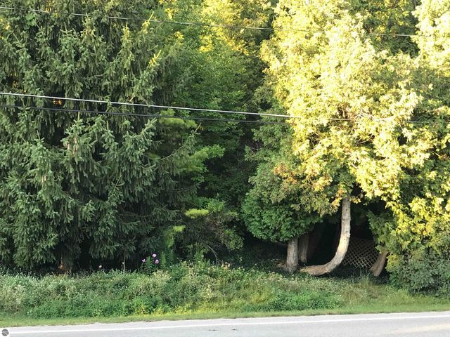 1137 Crystal Drive, Frankfort, MI 49635