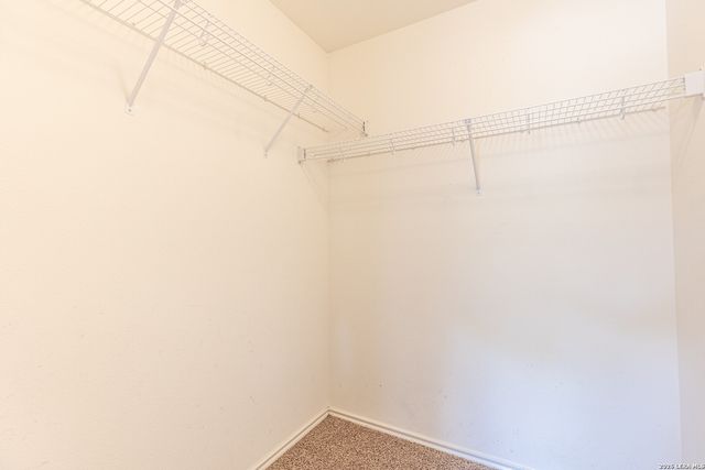 10703 Tiger Chase, San Antonio, TX 78251