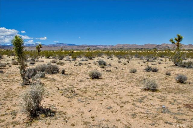 888 Lucky, Landers, CA 92285