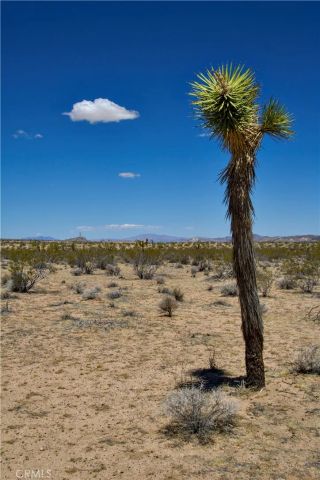 888 Lucky, Landers, CA 92285