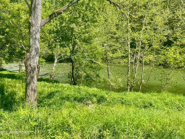 370 Gulley River Rd, Harrogate, TN 37752