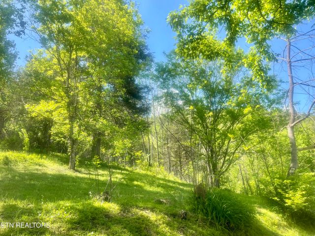 370 Gulley River Rd, Harrogate, TN 37752