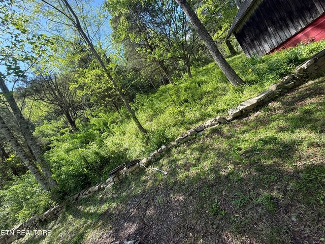 370 Gulley River Rd, Harrogate, TN 37752