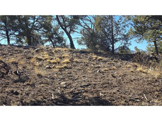 4510 Iannelli Rd, Fort Garland, CO 81133
