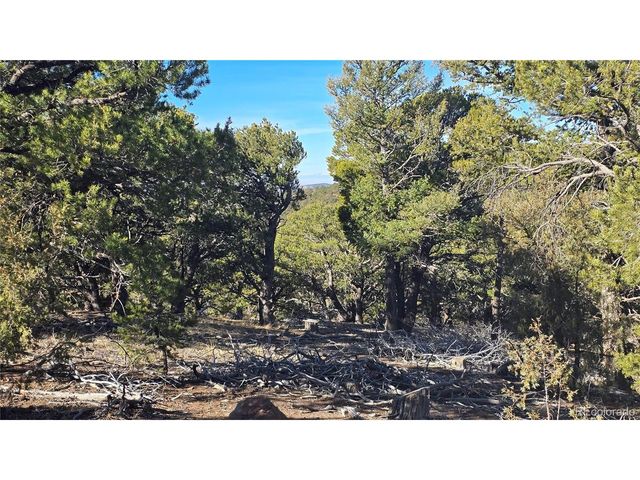 4510 Iannelli Rd, Fort Garland, CO 81133