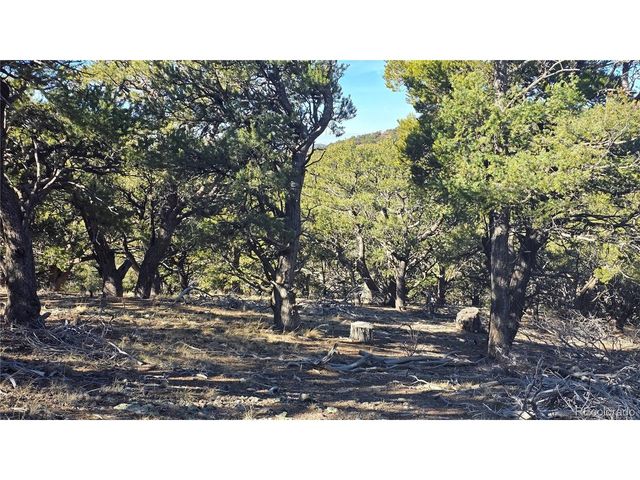 4510 Iannelli Rd, Fort Garland, CO 81133